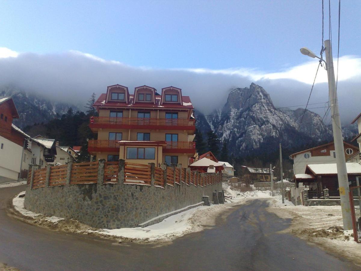 Hotel Vila Piano à Buşteni Extérieur photo